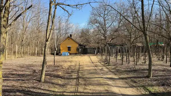 Eladó családi ház, Dabas 1 szoba 50 m² 14.99 M Ft