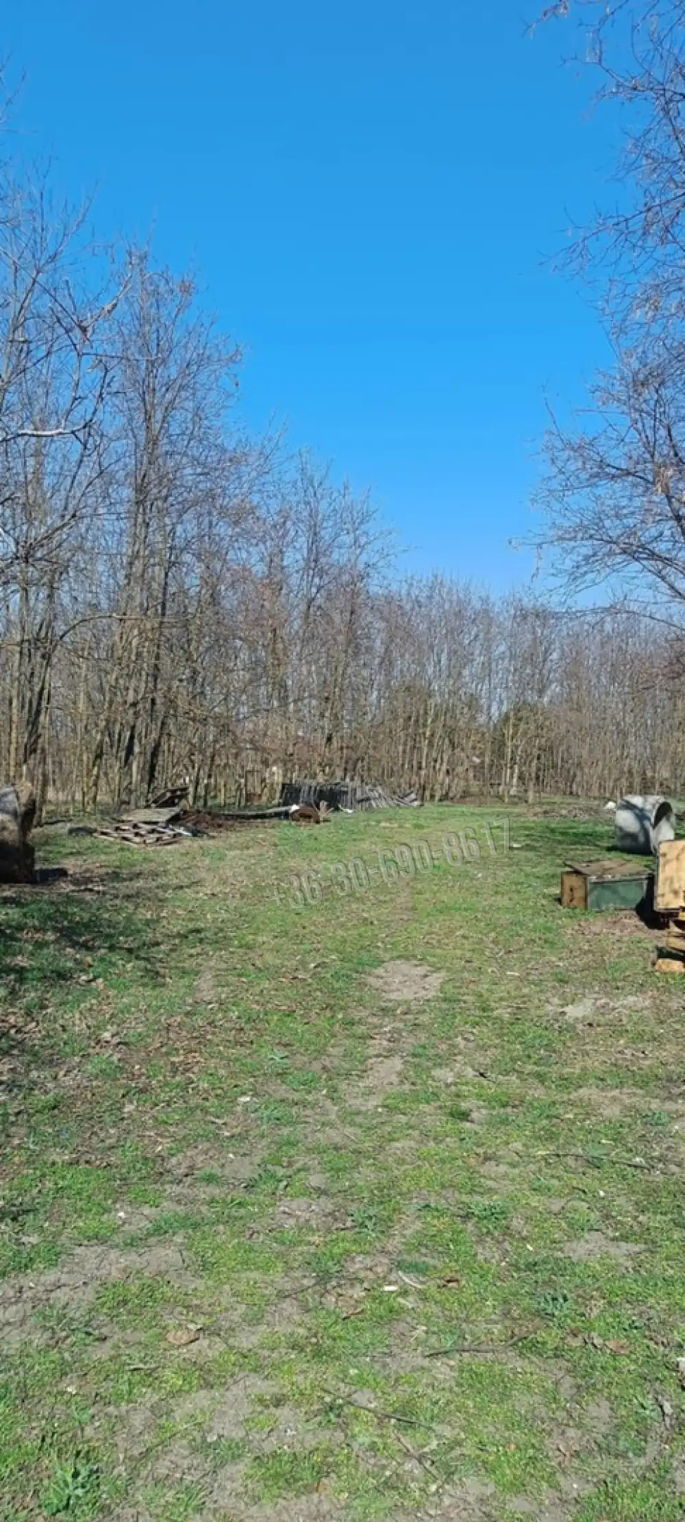 Pest megye - Dabasiszőlők