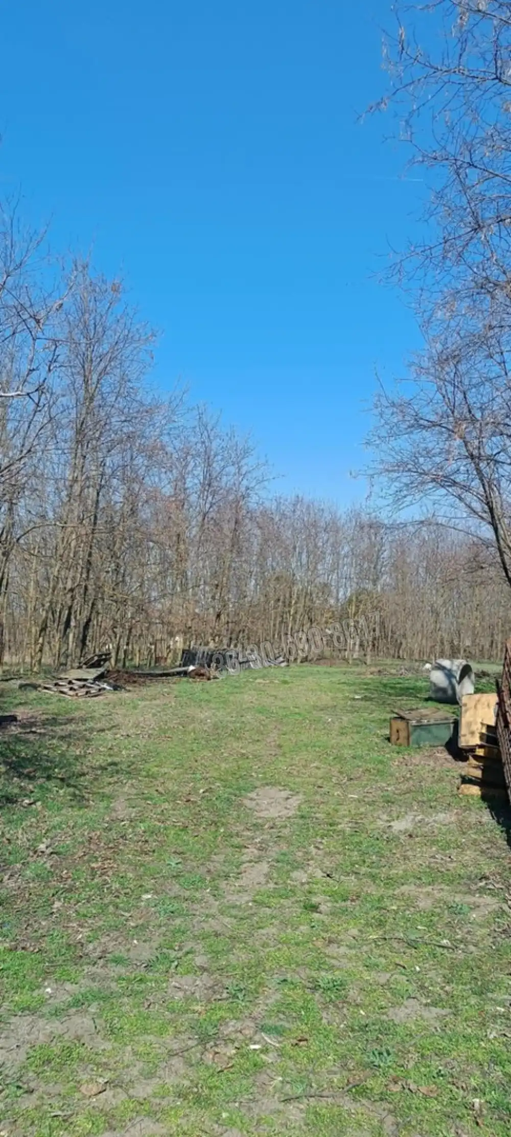 Pest megye - Dabasiszőlők