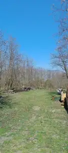 Pest megye - Dabasiszőlők