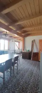 Pest megye - Dabasiszőlők