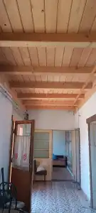 Pest megye - Dabasiszőlők
