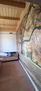 Pest megye - Dabasiszőlők