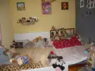 Pest megye - Dánszentmiklós