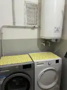 Fejér megye - Daruszentmiklós