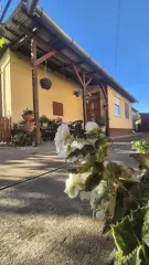 Hajdú-Bihar megye - Debrecen