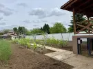 Hajdú-Bihar megye - Debrecen