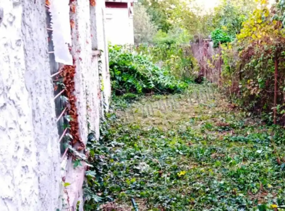 Pest megye - Délegyháza