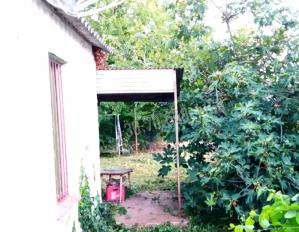 Pest megye - Délegyháza