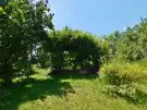 Nógrád megye - Diósjenő