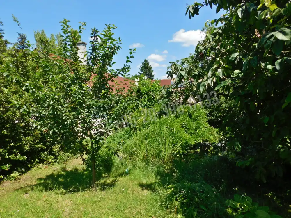 Nógrád megye - Diósjenő