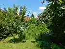 Nógrád megye - Diósjenő