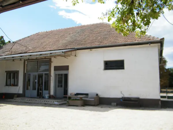 Eladó családi ház, Dömsöd 4 szoba 200 m² 60 M Ft + Áfa