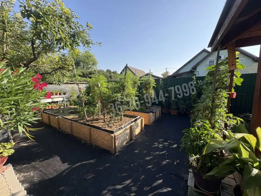 Pest megye - Dunaharaszti