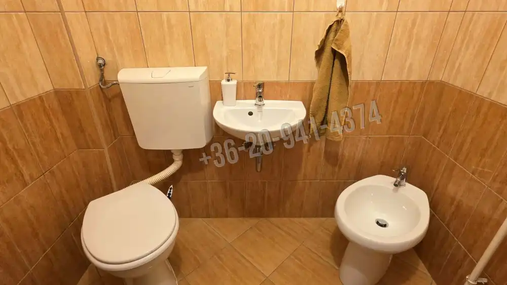 Pest megye - Dunaharaszti