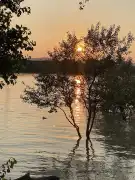 Pest megye - Dunakeszi