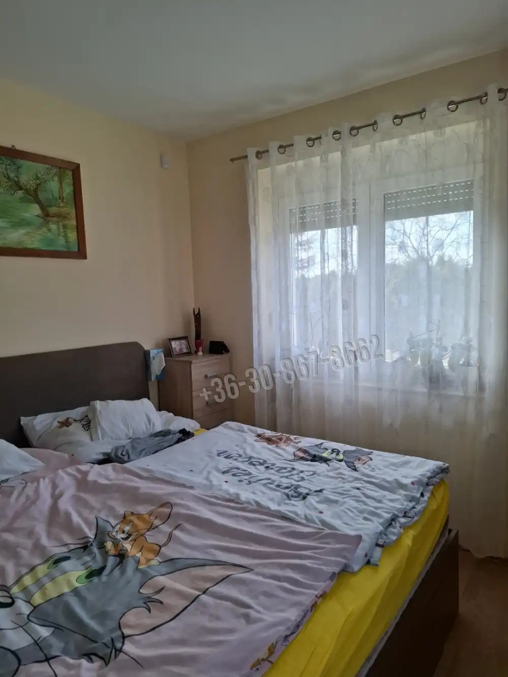 Fejér megye - Dunaújváros