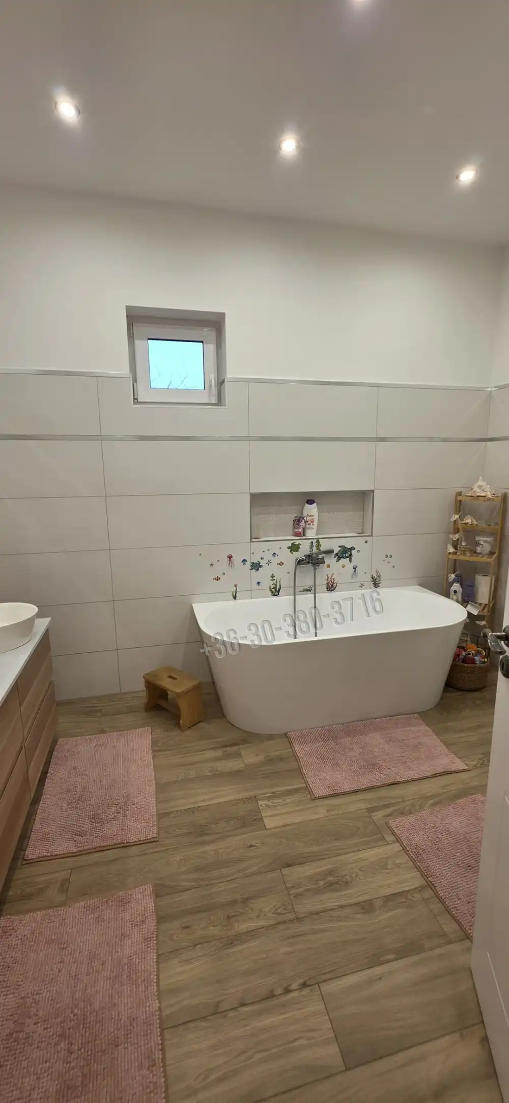 Fejér megye - Dunaújváros