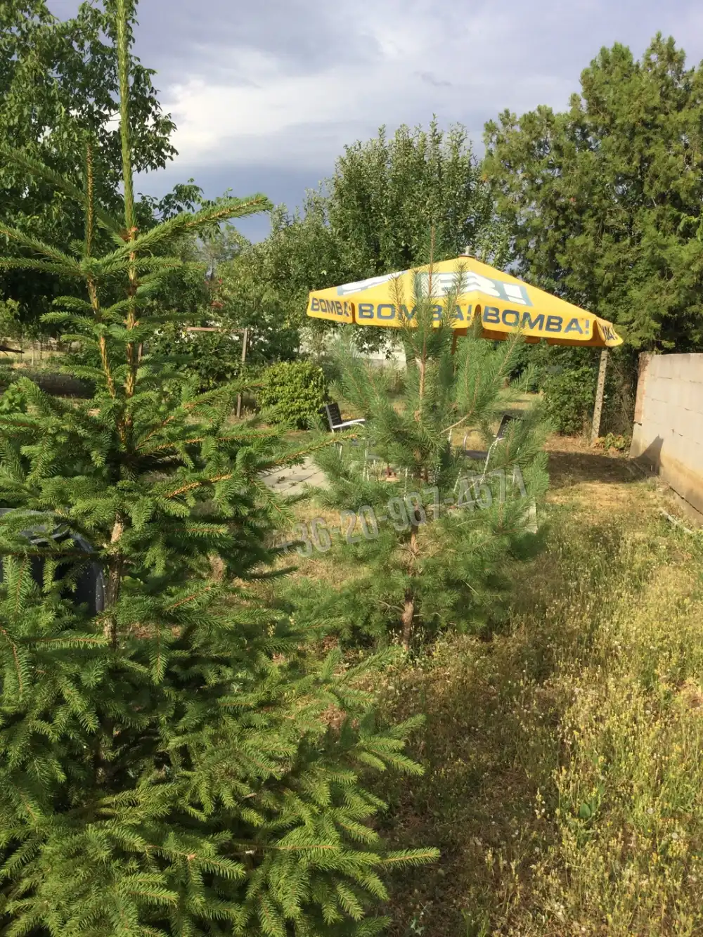 Heves megye - Ecséd