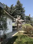 Pest megye - Érd