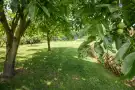 Pest megye - Érd