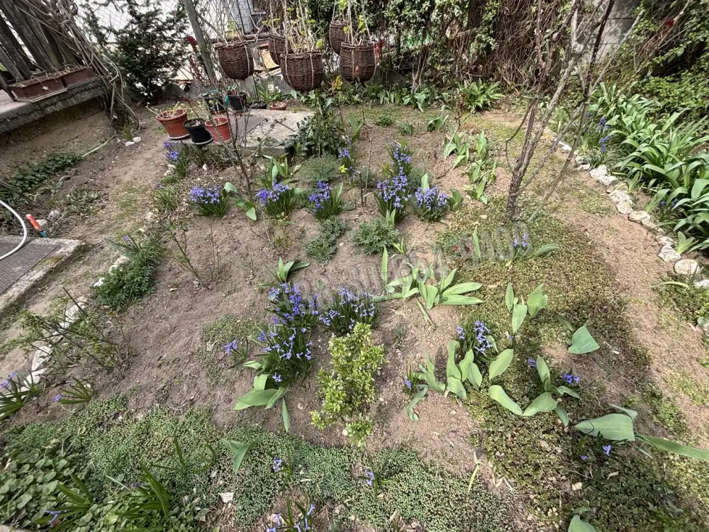 Pest megye - Erdőkertes