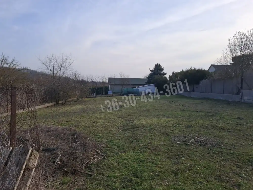 Fejér megye - Felcsút