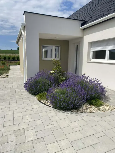 eladó családi ház, Fertőszéplak