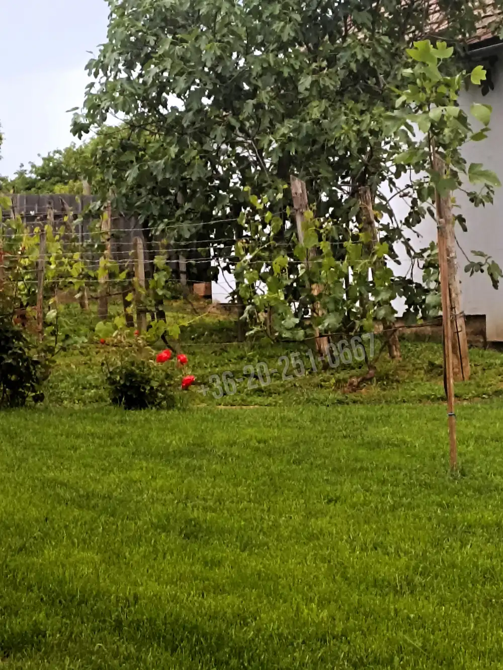 Baranya megye - Geresdlak