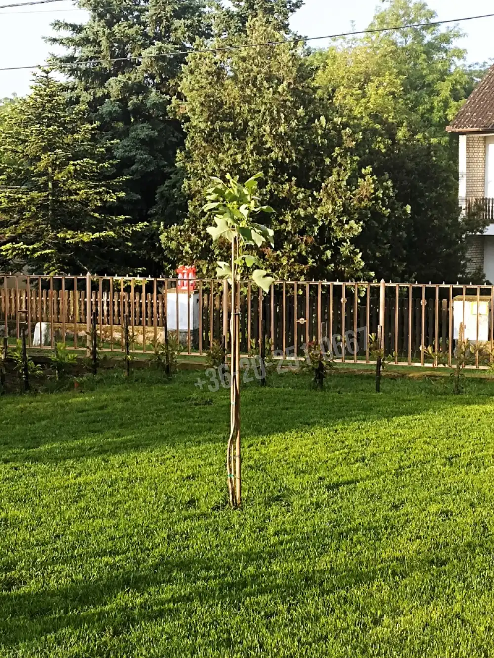 Baranya megye - Geresdlak