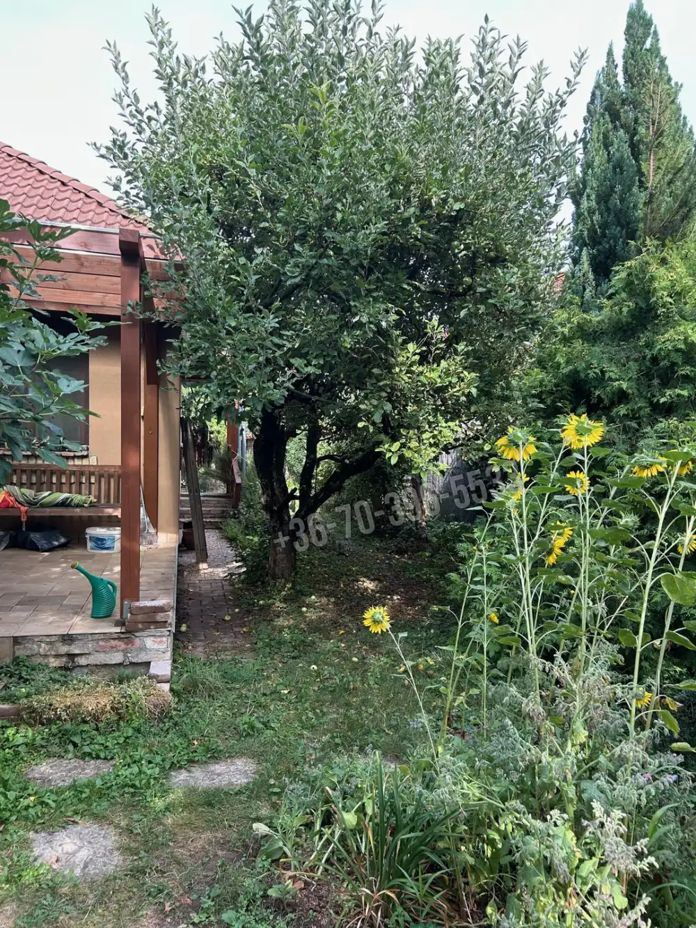 Pest megye - Gödöllő