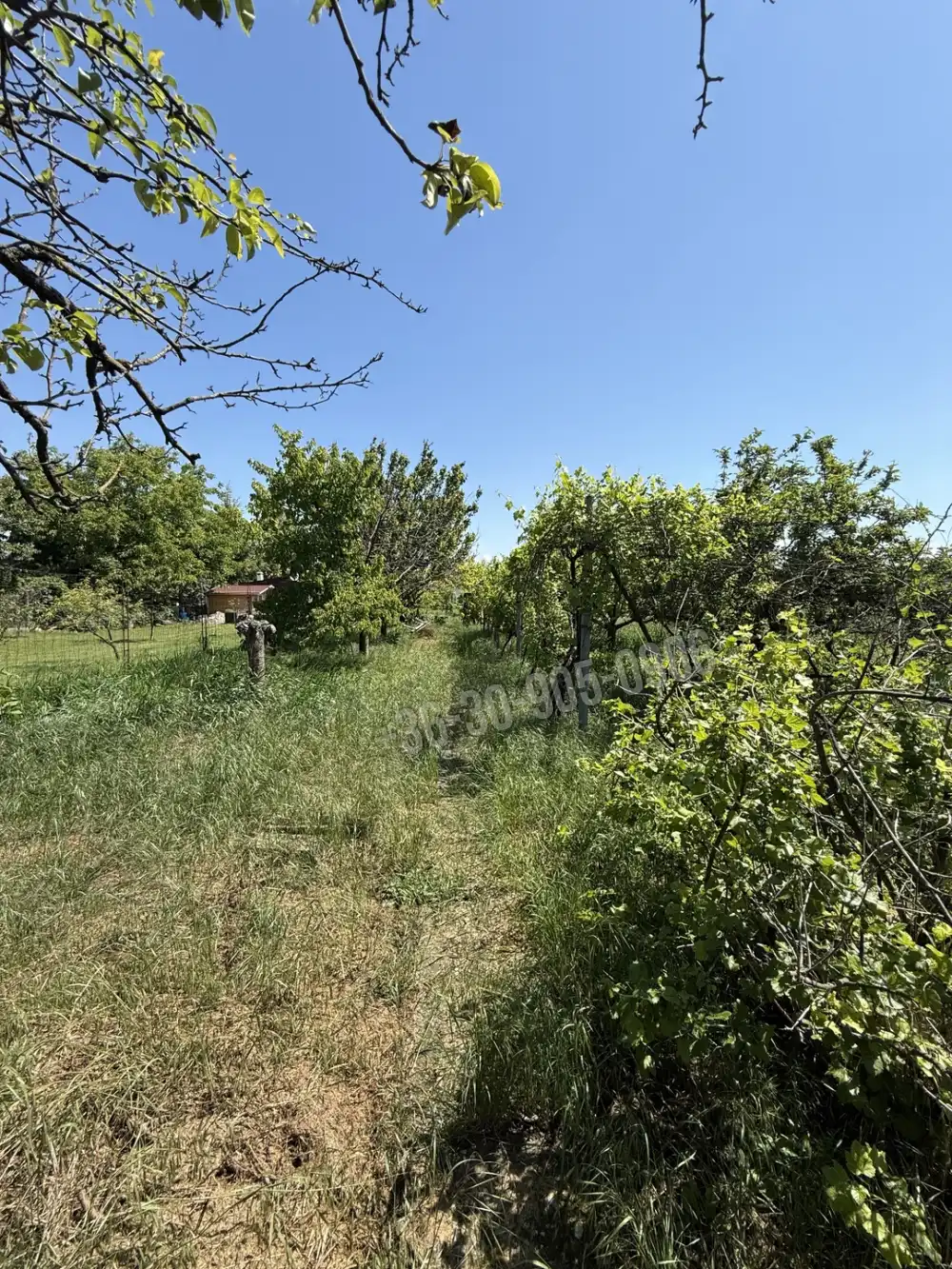 Győr-Moson-Sopron megye - Győrszentiván