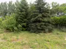 Győr-Moson-Sopron megye - Győrszentiván