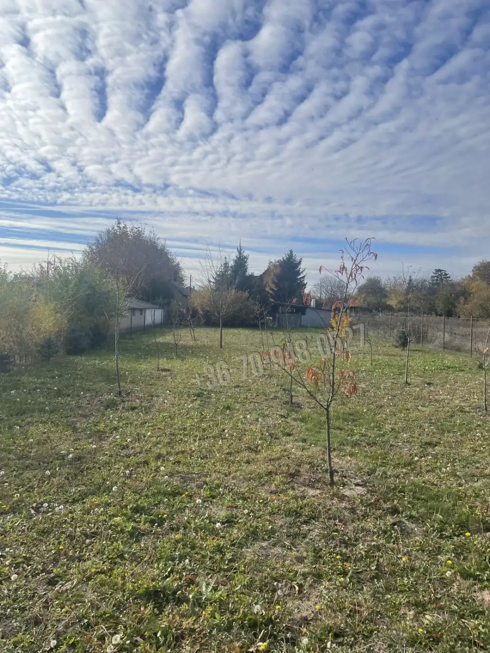 Békés megye - Gyula