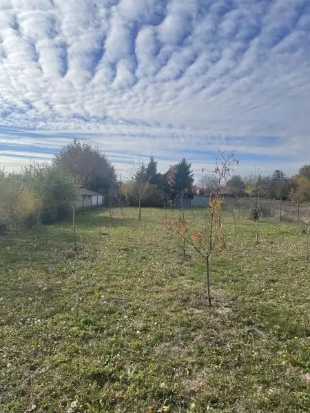 Eladó családi ház, Gyula 5 szoba 169 m² 87.5 M Ft