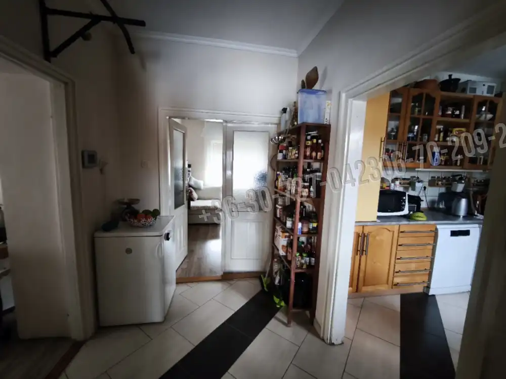 Pest megye - Halásztelek