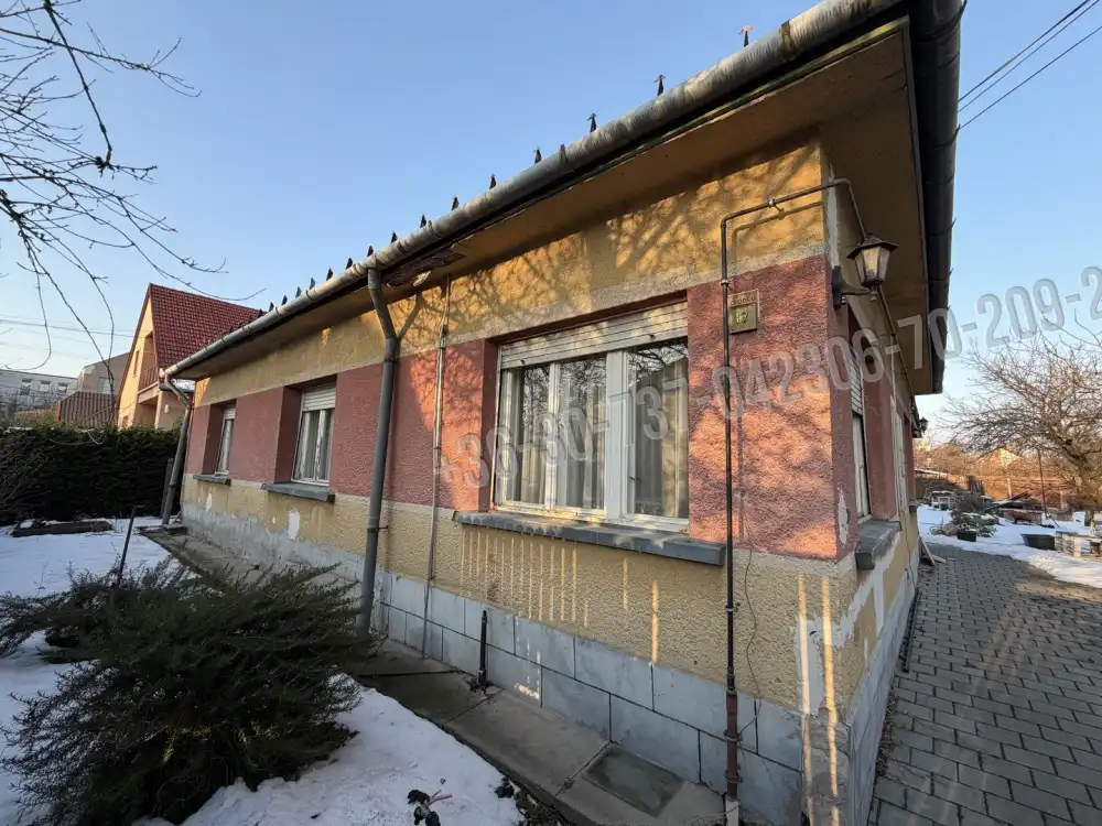 Pest megye - Halásztelek