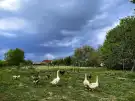 Vas megye - Hegyhátszentjakab