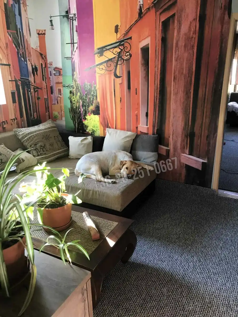 Baranya megye - Himesháza