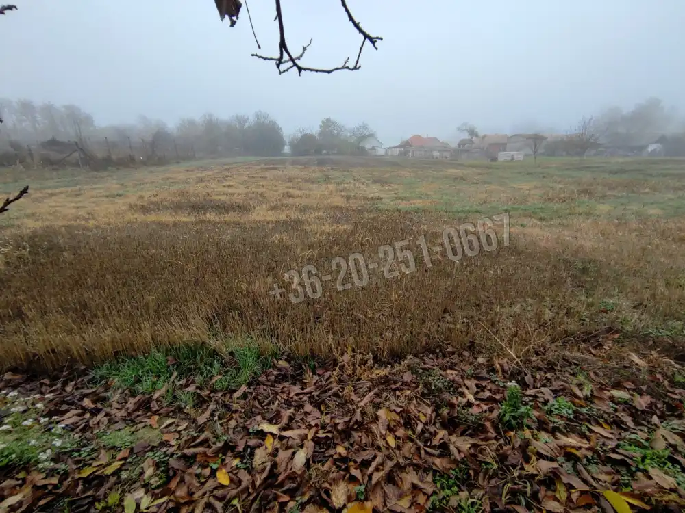 Baranya megye - Homorúd