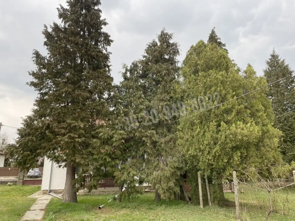 Vas megye - Hosszúpereszteg