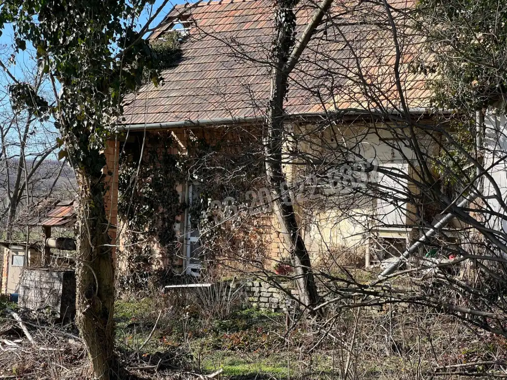 Fejér megye - Igar-Vámszőlőhegy