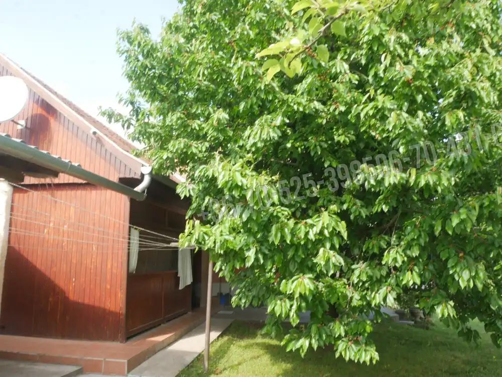 Pest megye - Káva