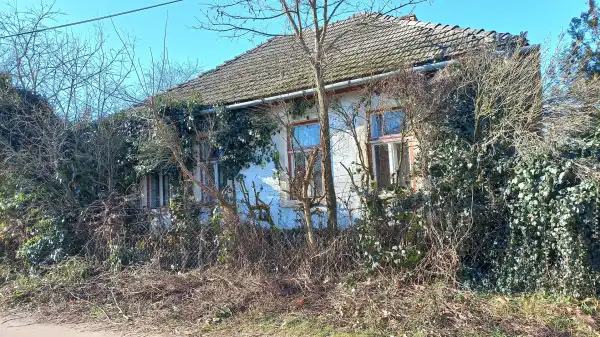 Eladó családi ház, Kenézlő 3 szoba 74 m² 4 M Ft