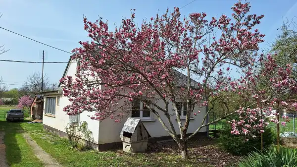 Eladó családi ház, Kerkáskápolna 3+2 szoba 110 m² 48 M Ft