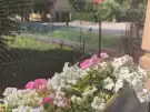 Zala megye - Keszthely