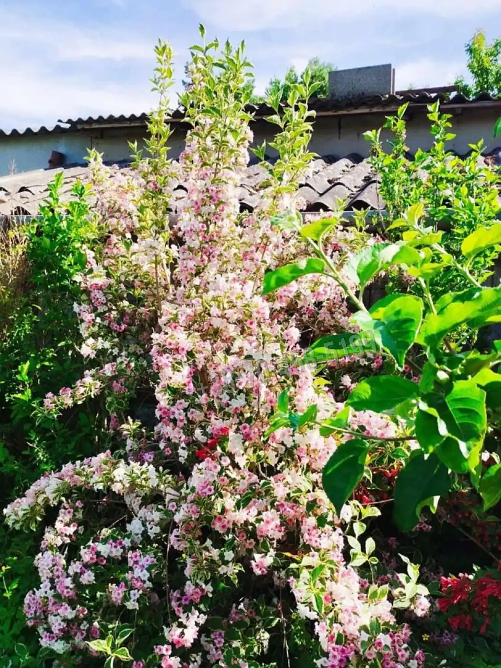 Zala megye - Keszthely