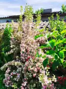 Zala megye - Keszthely