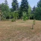 Zala megye - Keszthely