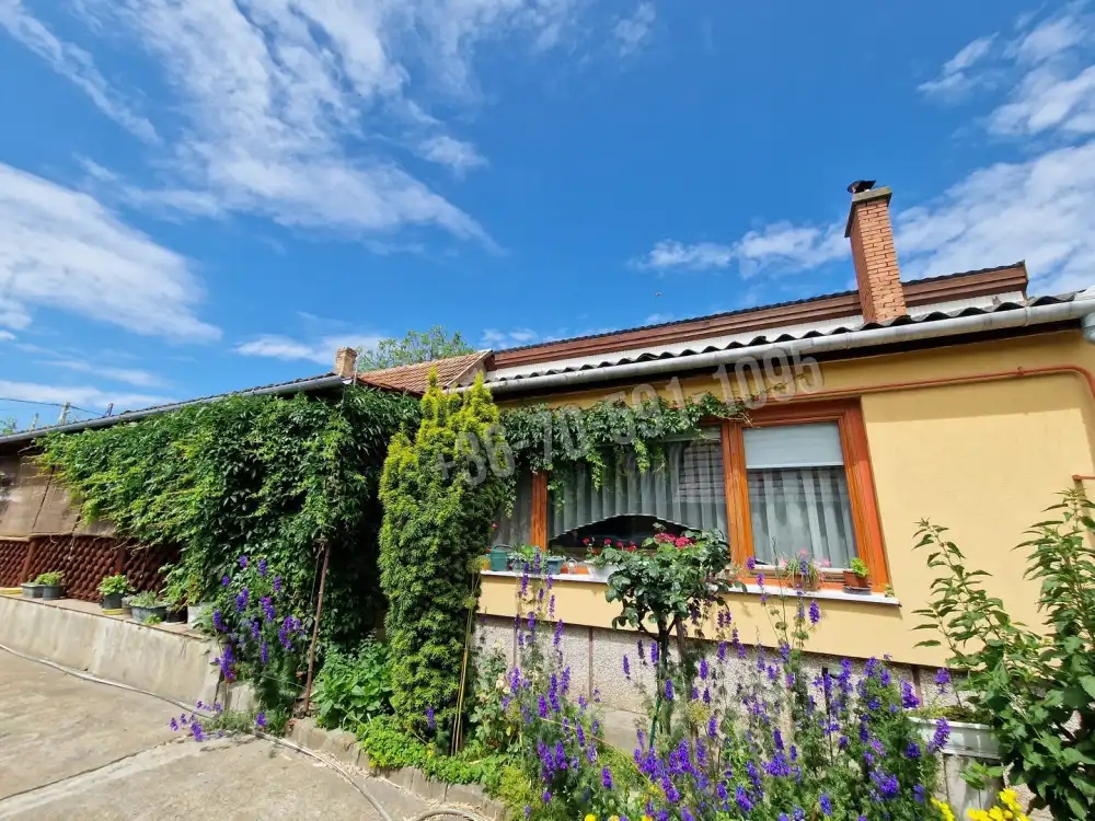 Bács-Kiskun megye - Kiskőrös